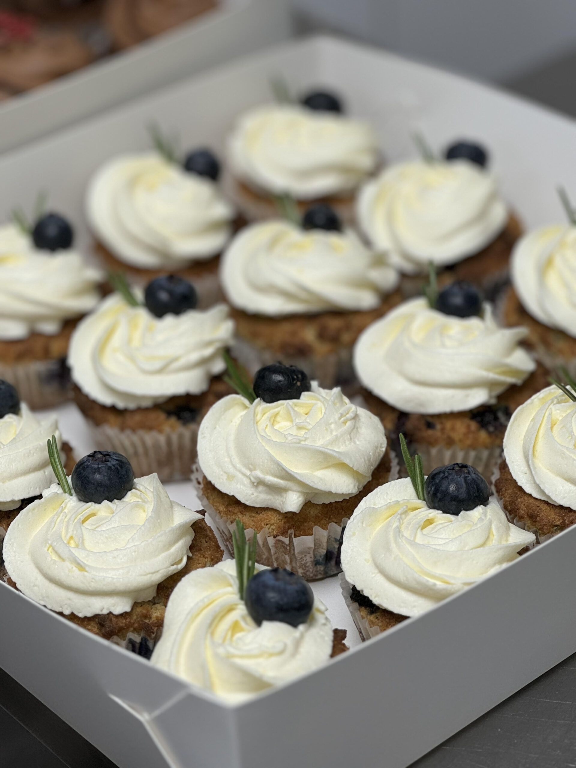Mustikka cupcake, 6 kpl